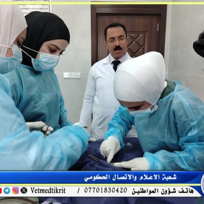 468943192 968301065319380 5422244844562832146 N